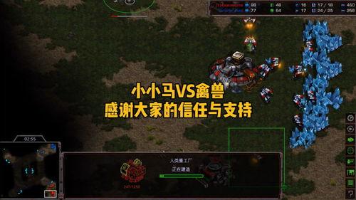 星际小小马爆料视频,星际探险背后的神秘故事  第1张