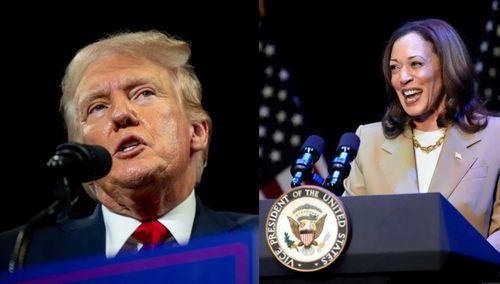 特朗普爆料哈里斯的视频,视频曝光惊人真相 第1张 特朗普爆料哈里斯的视频,视频曝光惊人真相 第1张