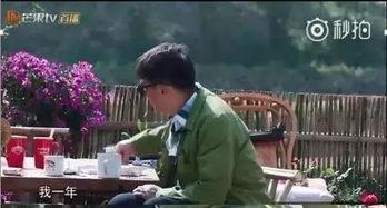 圈内爆料佟丽娅黄磊,幕后故事揭秘  第1张