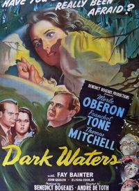 在线观看黑水,一场关于真相与阴谋的在线观影之旅 第1张 在线观看黑水,一场关于真相与阴谋的在线观影之旅 第1张